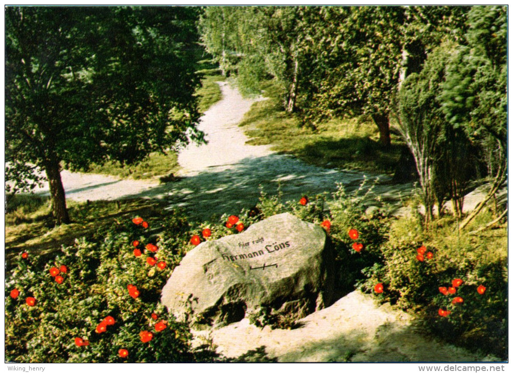 Lüneburger Heide - Hermann Löns Grab 4 - Lüneburger Heide