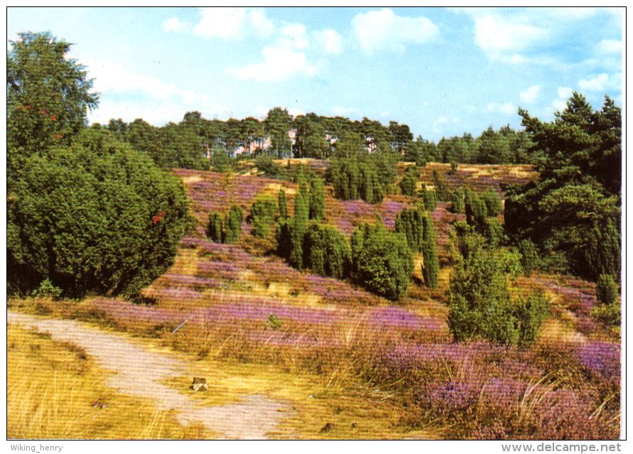 Lüneburger Heide - Naturschutzgebiet 3 - Lüneburger Heide