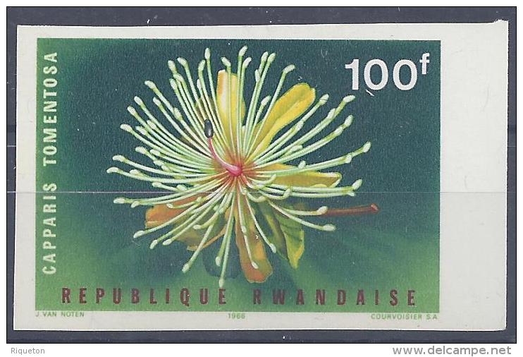 RWANDA - 1966 -  N° 157 -   " CAPPARIS TOMENTOSA "  - NON DENTELE - XX - MNH - TTB - - Neufs