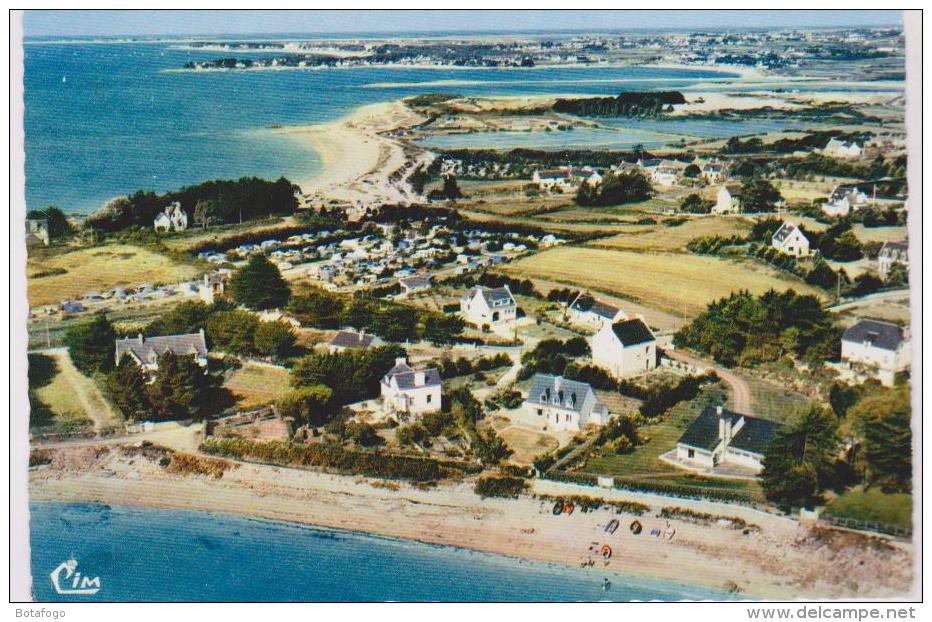 CPM DPT 56 LA TRINITE SUR MER - La Trinite Sur Mer