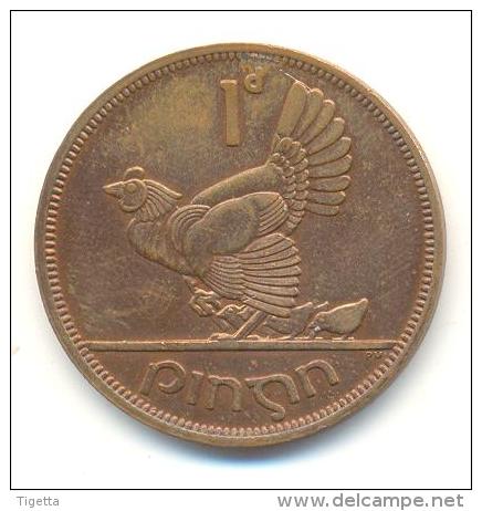 IRLANDA 1 PENNY  ANNO 1968 - Irlanda