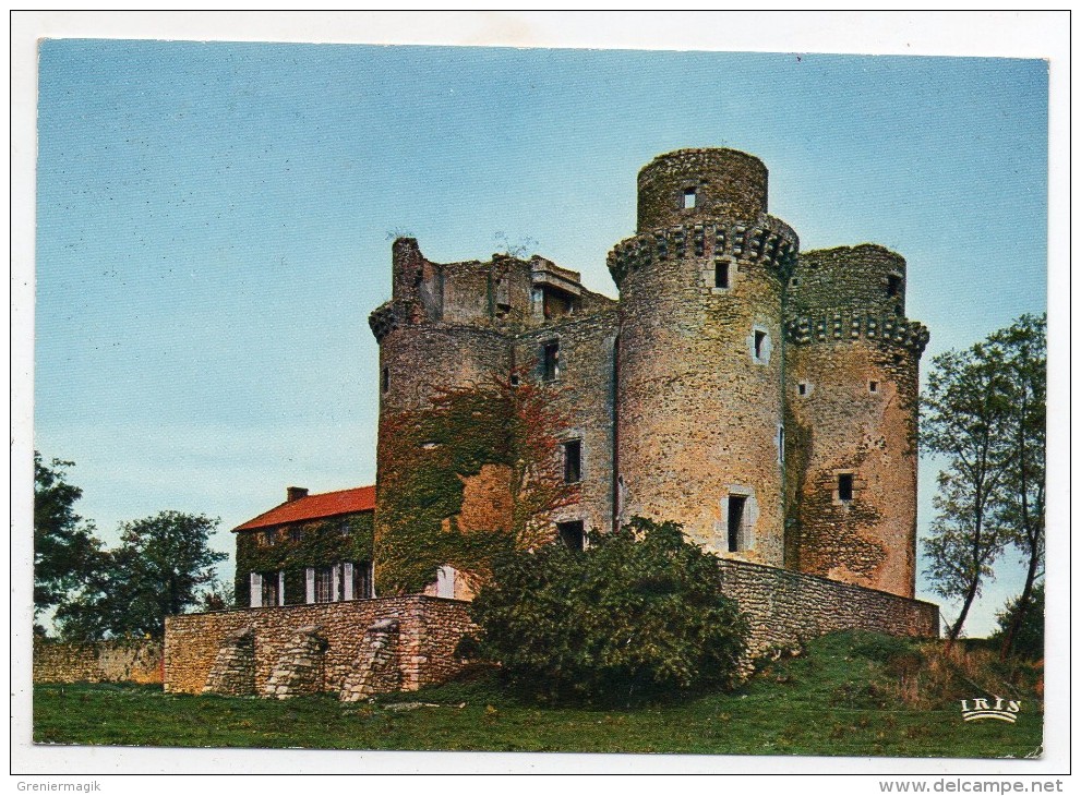 86 - Châteaux En Poitou - Château De La Messelière XIVe Siècle - Châteaux