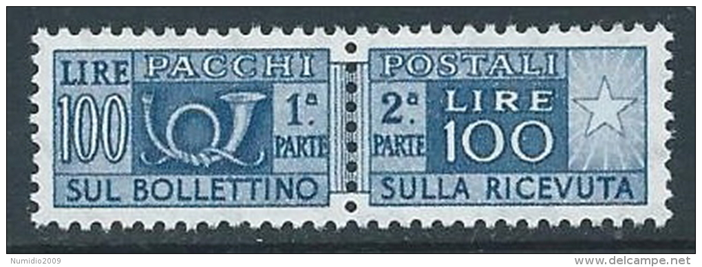1955-79 ITALIA PACCHI POSTALI STELLE 100 LIRE MNH ** - JU59-5 - Postpaketten