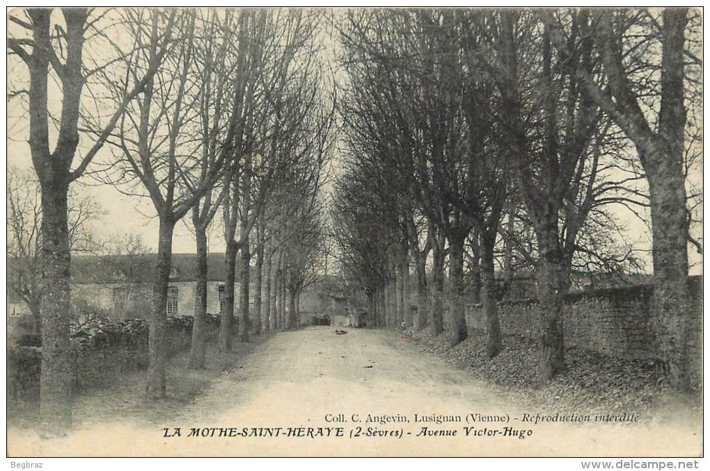 LA MOTHE ST HERAY     AVENUE VICTOR HUGO - La Mothe Saint Heray