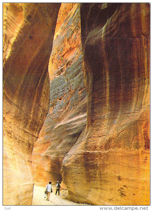 Asie Jordanie JORDAN - PETRA  -Lot De 3 Cpm Voir Scan R/V  Des 3 Cartes (Pharaon, Siq, Urn Tomb) - Jordania