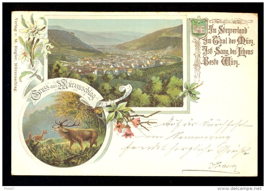 Litho. / Gruss Aus Murzzuschlag / Verlag M. Riegler / Year 1898 / Old Postcard Traveled - Mürzzuschlag