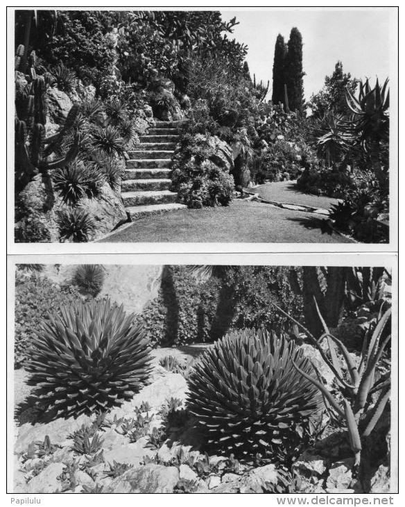 Monaco : Jardin Exotique , Lot De 3 Cpsm ( Dos  Scanés ) - Exotische Tuin