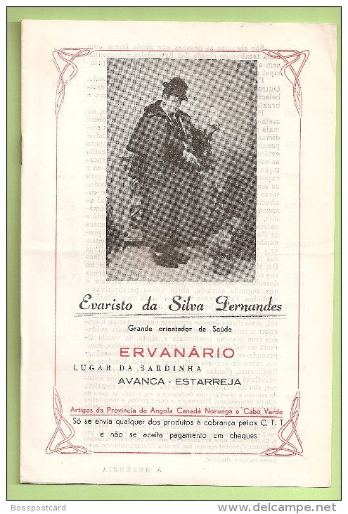 Avanca - Catálogo Do Ervanário Evaristo Da Silva Fernandes. Estarreja. Aveiro. - Portugal