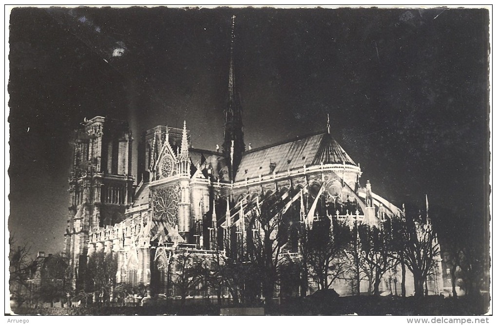 FRANCE. POSTCARD. PARIS. NOTRE DAME CATHEDRAL - Notre Dame De Paris