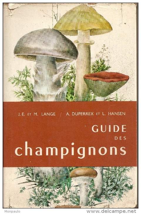 Nature. Guide Des Champignons (Jakob E. Lange Et D. Morten Lange) - Nature