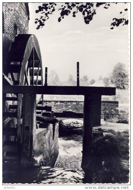 Overpelt Weelde Molen - Overpelt