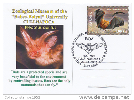 9478- BROWN LONG- EARED BAT, SPECIAL POSTCARD, 2007, ROMANIA - Chauve-souris