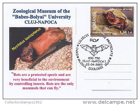 9480- GREATER NOCTULE BAT, SPECIAL POSTCARD, 2007, ROMANIA - Chauve-souris