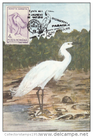 9520- LITTLE EGRET, BIRD, MAXIMUM CARD, 1993, ROMANIA - Pelicans