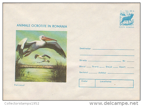 9524- PELICAN, BIRD, COVER STATIONERY, 1977, ROMANIA - Pelicans