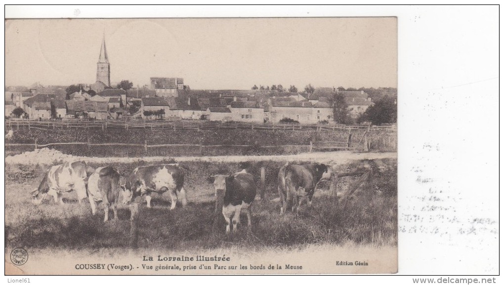 COUSSEY : (88) Vue Génèrale, Prise Du Parc Sur Les Bord De La Meuse - Coussey