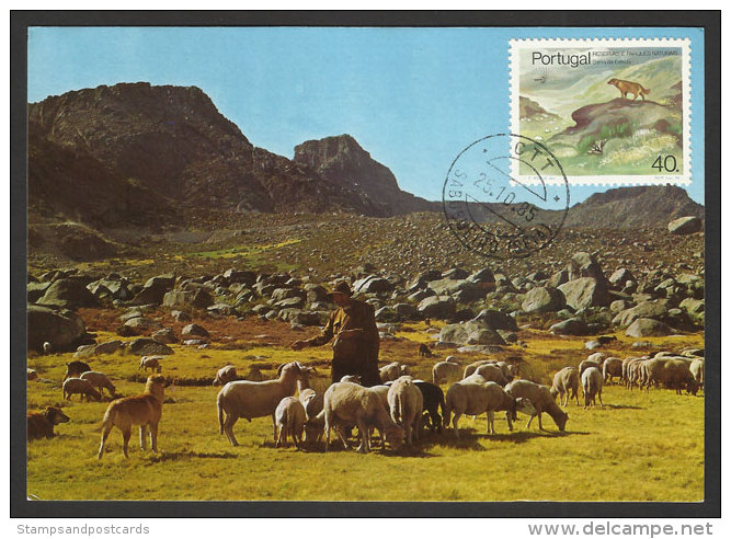 Portugal Carte Maximum Réserve Naturelle Serra Da Estrela 1985 Nature Reserve Serra Da Estrela Maxicard - Maximum Cards & Covers