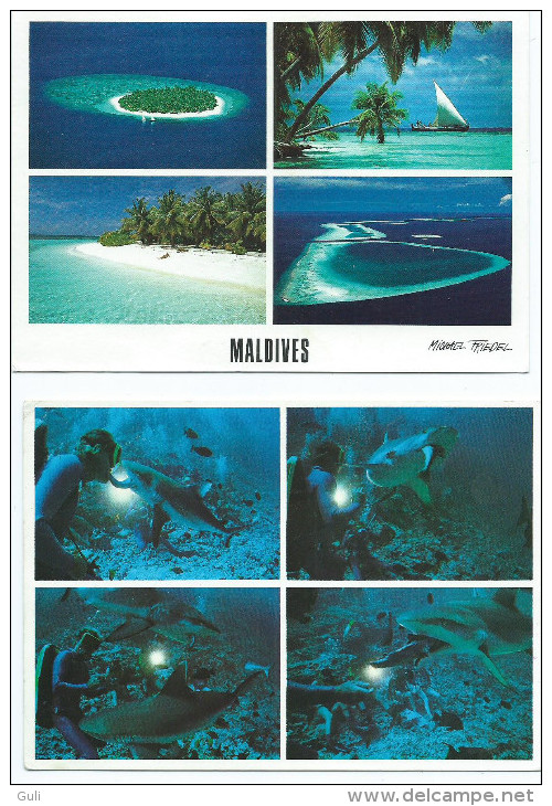 Asie MALDIVES  Male Atoll  Lot De 2 Cartes  - Scan R/V Des 2 Cartes - Photo Michael Friedel * PRIX FIXE - Maldivas