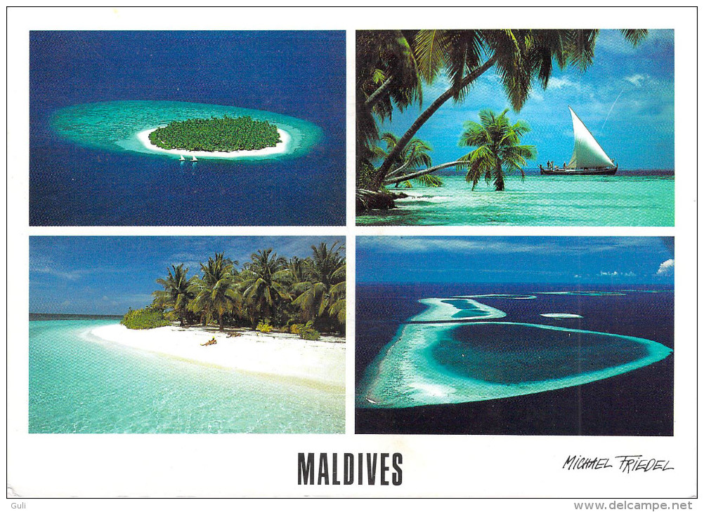 Asie MALDIVES  Male Atoll  Lot De 2 Cartes  - Scan R/V Des 2 Cartes - Photo Michael Friedel * PRIX FIXE - Maldiven