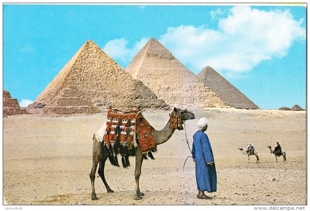 Egypt, Giza, The Pyramids, Unused Postcard [14599] - Gizeh