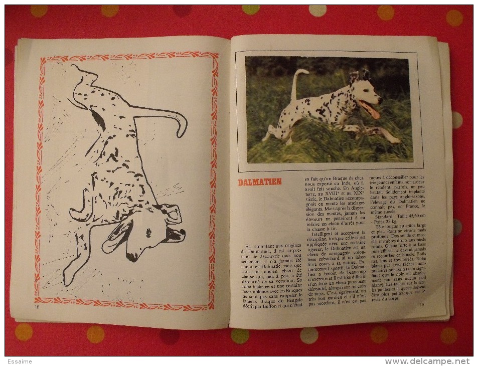 album d'images Télémagazine. collection Chiens et chats. 1972. Complet