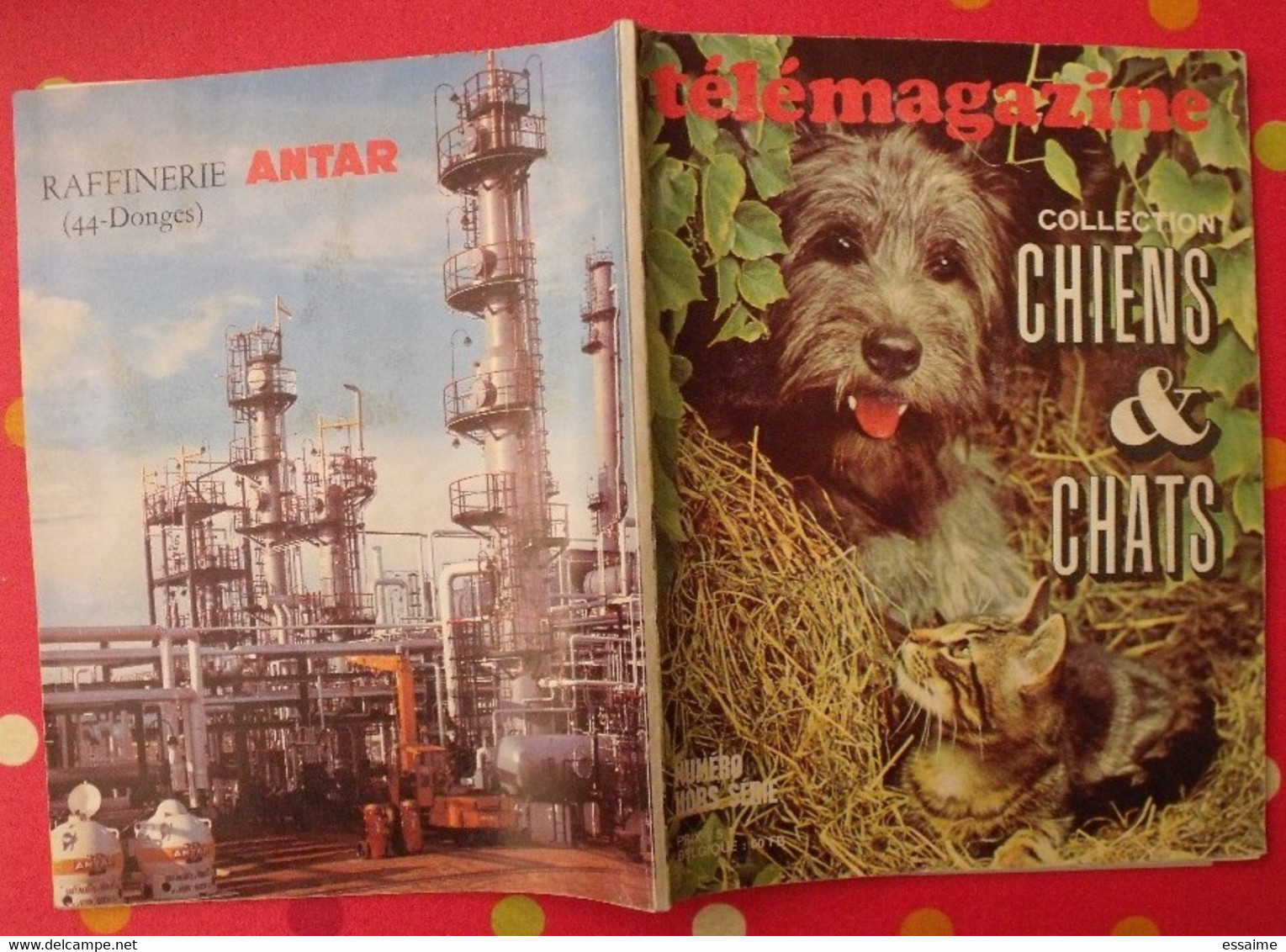 Album D'images Télémagazine. Collection Chiens Et Chats. 1971. Complet - Sammelbilderalben & Katalogue