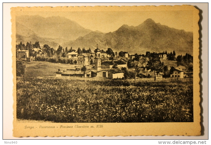 DORGA (BG) - PANORAMA -  F/G - N/V (MA SCRITTA:1940) - Bergamo