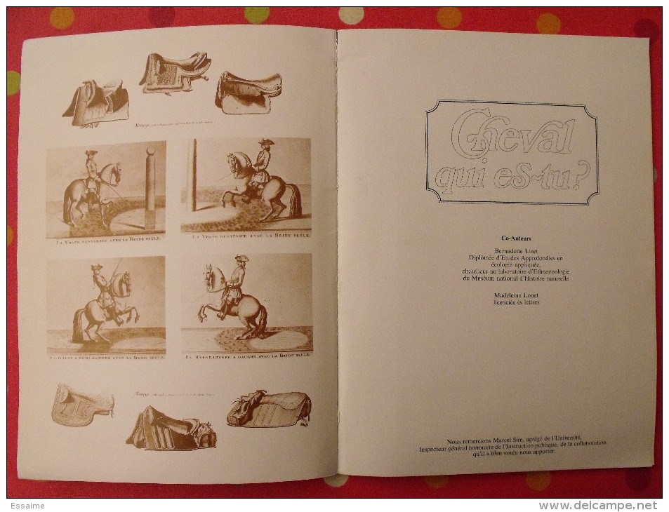 Album D'images Collées "Cheval Qui Es-tu ?". Complet. Vers 1970-80 - Sammelbilderalben & Katalogue