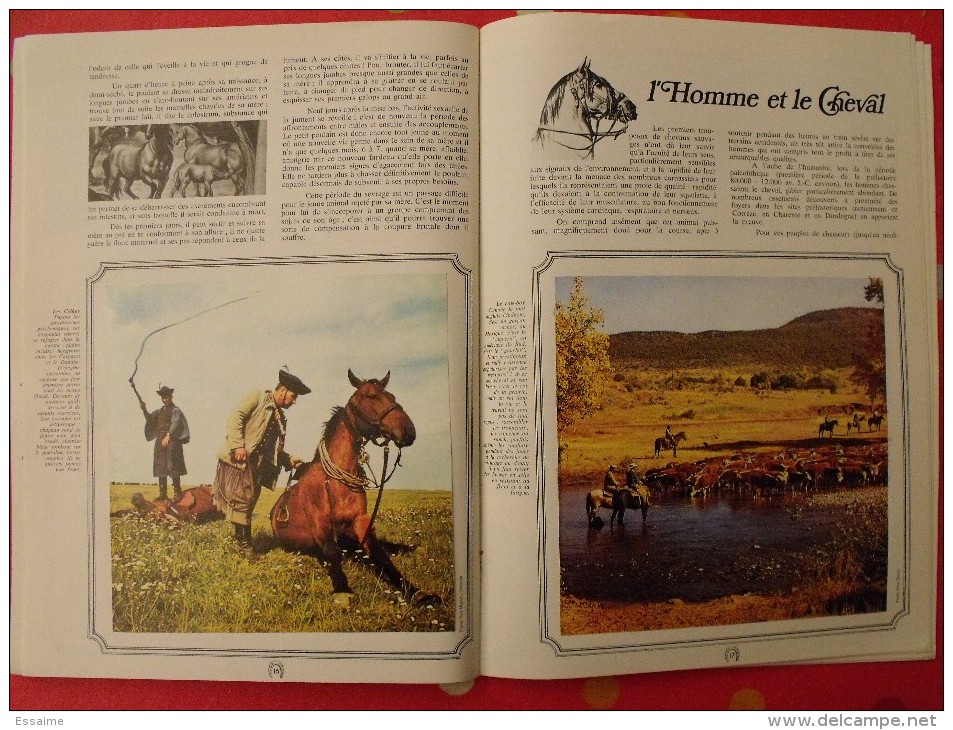 Album D'images Collées "Cheval Qui Es-tu ?". Complet. Vers 1970-80 - Albums & Catalogues