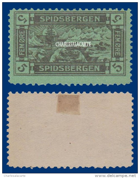 1911 NORWAY SPITZBERGEN SPIDSBERGEN LOCAL ISSUE 5 öre BROWN ON GREEN SHIP POLAR BEAR NO GUM - Emissioni Locali