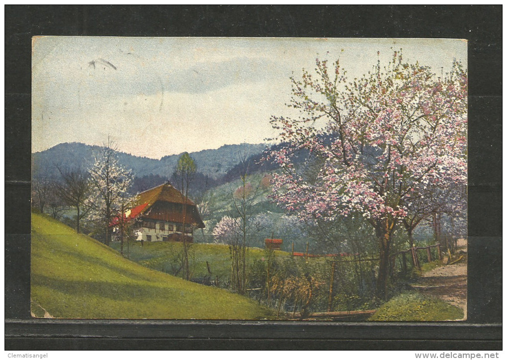 TOP!! GUTACHTAL * SCHWARZWALD * 1913  **!! - Gutach (Breisgau)