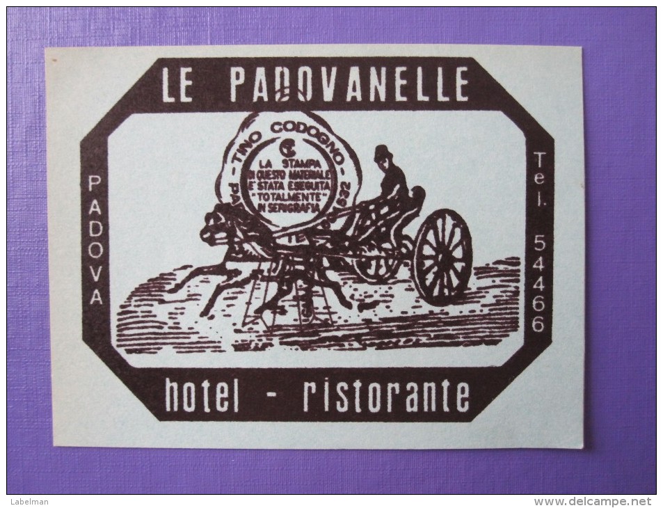 HOTEL ALBERGO PENSIONE PADOVANELLE PADOVA ITALIA ITALY TAG DECAL STICKER LUGGAGE LABEL ETIQUETTE AUFKLEBER - Etiquettes D'hotels