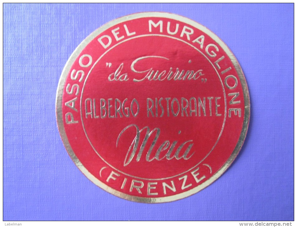 HOTEL ALBERGO PENSIONE MEIA FIRENZE FLORENCE ITALIA ITALY TAG DECAL STICKER LUGGAGE LABEL ETIQUETTE AUFKLEBER - Hotel Labels