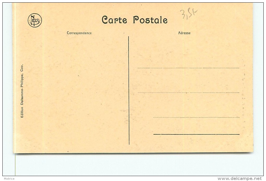 COO - Panorama De Grand Coo Et Petit Coo. - Stavelot