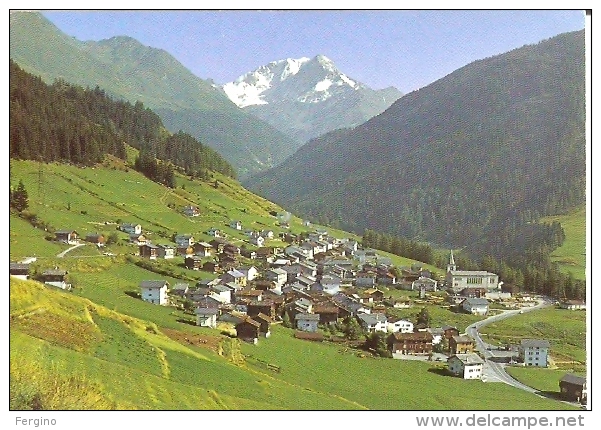 7264/FG/14 - VALAIS (SVIZZERA) - Le Village De Liddes - Liddes