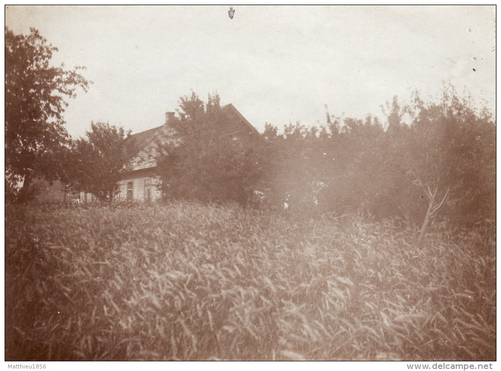 Photo Juillet 1917 SIPSNIS - Une Vue (A91, Ww1, Wk 1) - Latvia