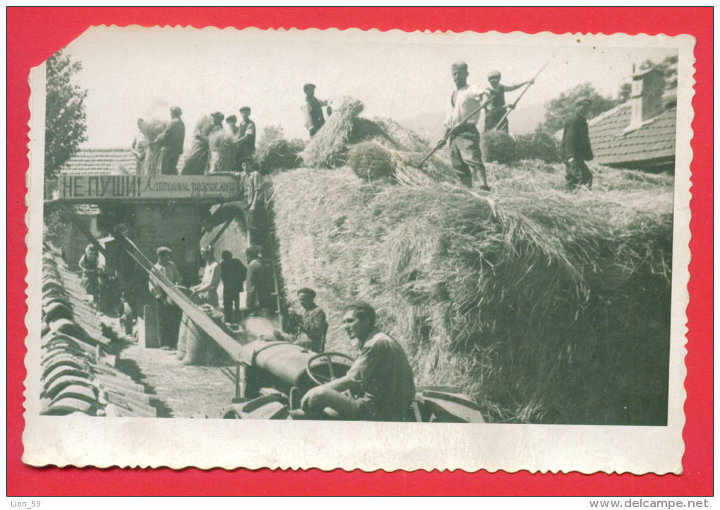 158129 / TRACTOR , Villagers PROCESSED Corn - Bulgaria Bulgarie Bulgarien Bulgarije - Tractors