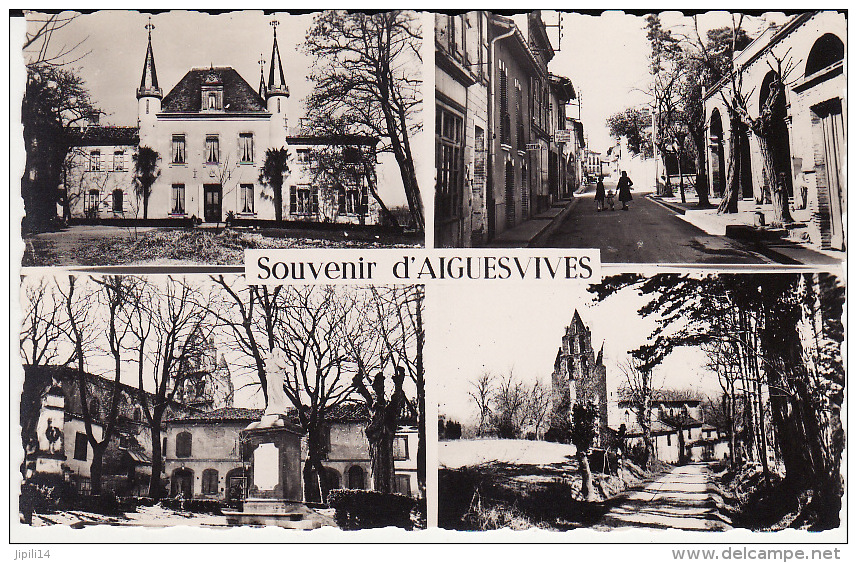 CARTE MULTIVUES AIGUEVIVES - Autres & Non Classés