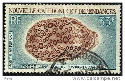 NEW CALEDONIA 33 FRANCS PORCELINE ARCHS SHELL (?) SET OF 1 USEDNH 1970 SG455 READ DESCRIPTION !! - Gebraucht