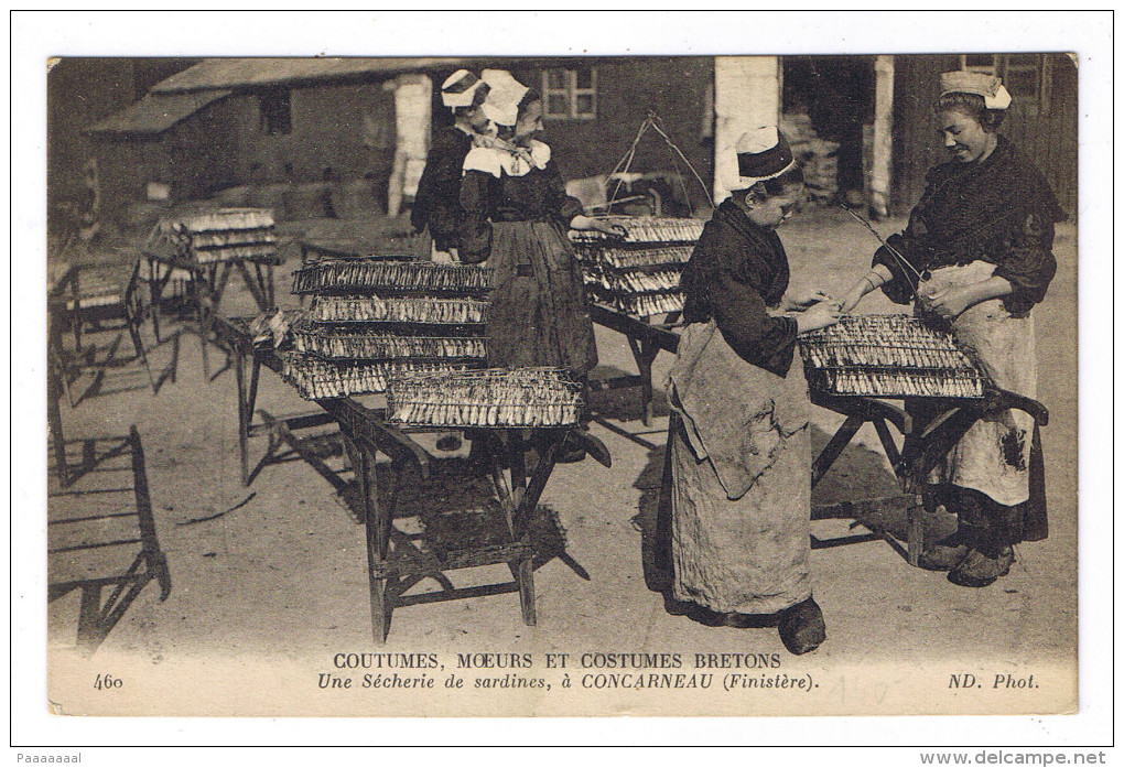 CONCARNEAU  UNE SECHERIE DE SARDINES - Concarneau