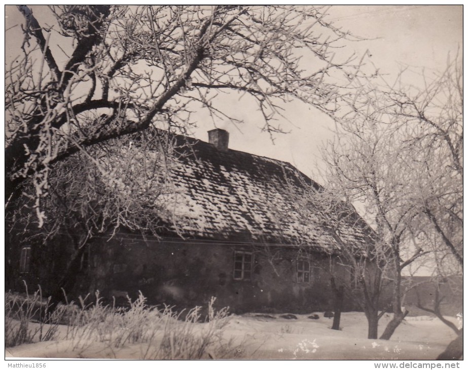 Photo Janvier 1918 PLOZAN - Ruines (A91, Ww1, Wk 1) - Lettland