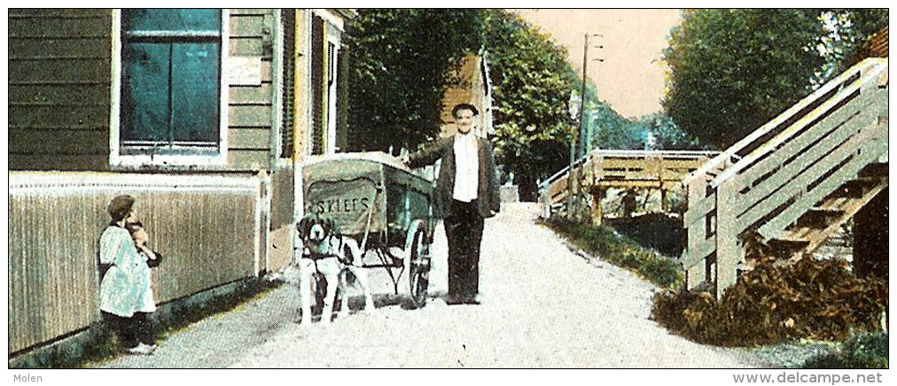 WESTZAAN : HONDENKAR - ATTELAGE DE CHIEN - DOG DRAWN CART - PUB : BLOOKER'S DAALDERS CACAO I12 - Verkopers