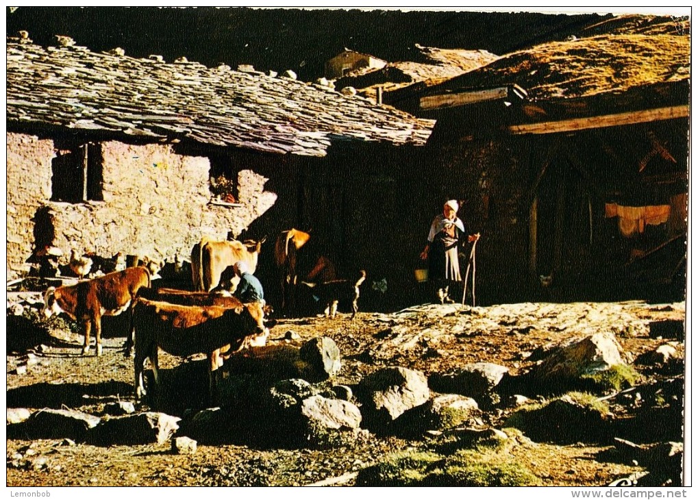 France, A L'heure De La Traite... Used Postcard [14619] - Farms