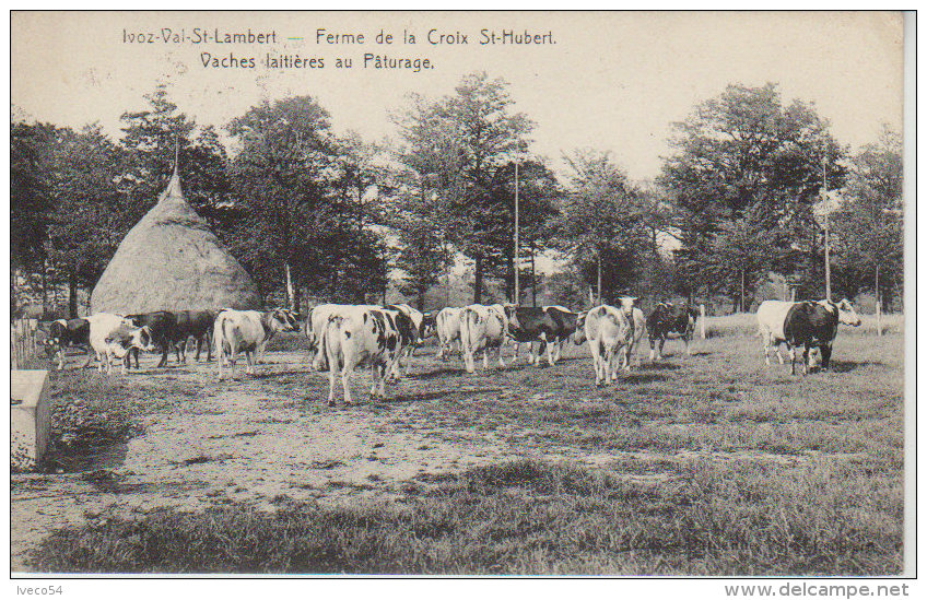 1911 Ivoz  - Val St Lambert  - Ferme De La Croix St Hubert  - " Paturâge  " - Flémalle