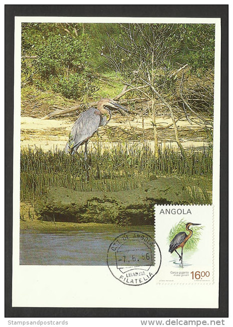 Angola Oiseau Héron Goliath Ardea Goliath Carte Maximum 1986 Goliath Heron Bird Maxicard - Pélicans