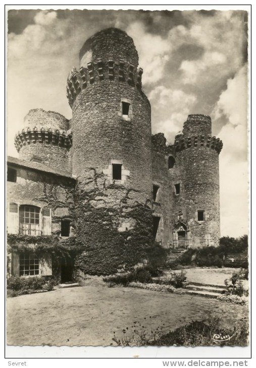 MOUSSAC Sur VIENNE Château De La Messelière .   CPM  Dentelée    Très Beau Plan. . - Monts Sur Guesnes