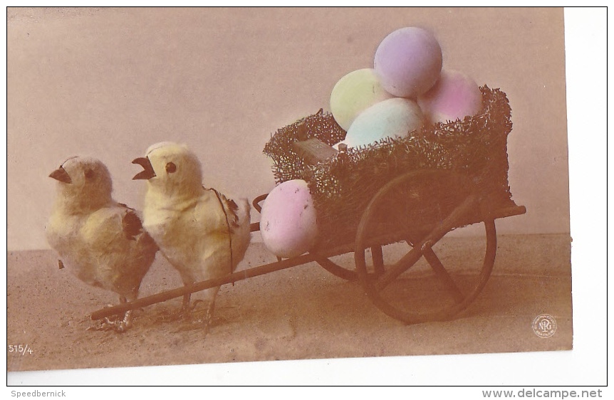 24311 Fetes Paques  Poussin Attelage Oeuf -photo Oranotypie NPG 515/4 - Pâques