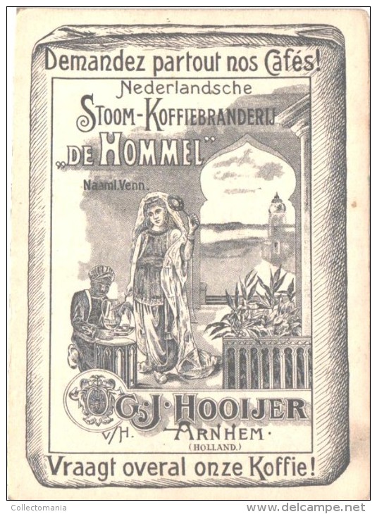 32 stuks DE HOMMEL anno 1910 pure chromo litho cm10x7,4 - Stoomfabriek koffie branderij ARNHEM  HOOIJER - GRUN =artist