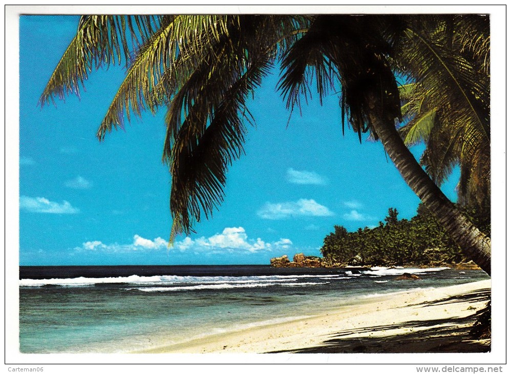 Seychelles - Anse Fourmis, La Digue - Seychellen