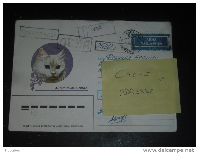 LETTRE RECOMMANDEE RUSSIE RUSSIA ROSSIJA URSS USSR CCCP AVEC AFFRANCHISSEMENT DE FORTUNE - CHAT CAT - - Lettres & Documents